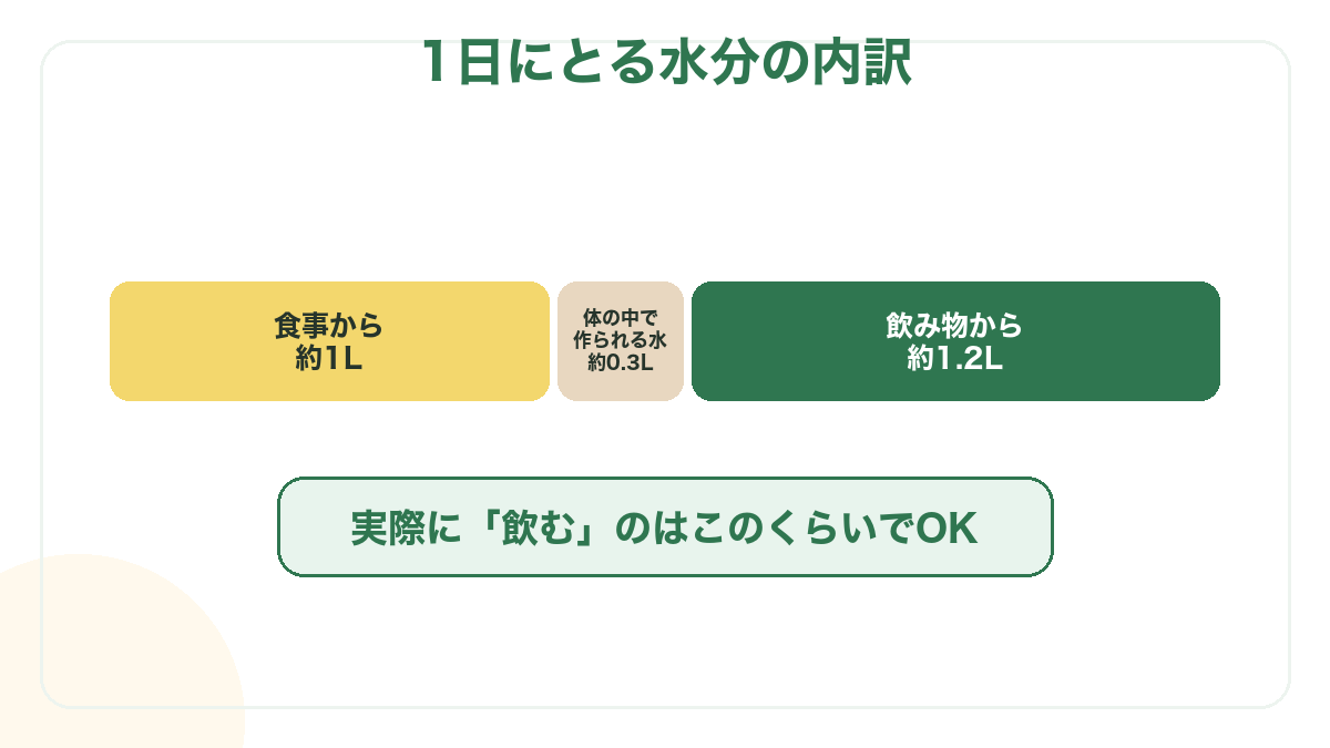 1日にとる水分の内訳。食事から約1L・体の中で作られる水約0.3L・飲み物から約1.2L