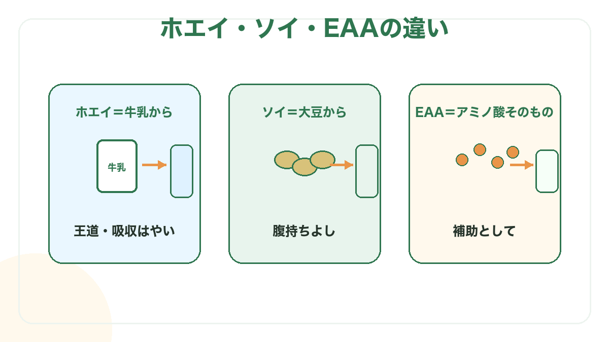 ホエイは牛乳から・ソイは大豆から・EAAはアミノ酸そのもの、の違い図解