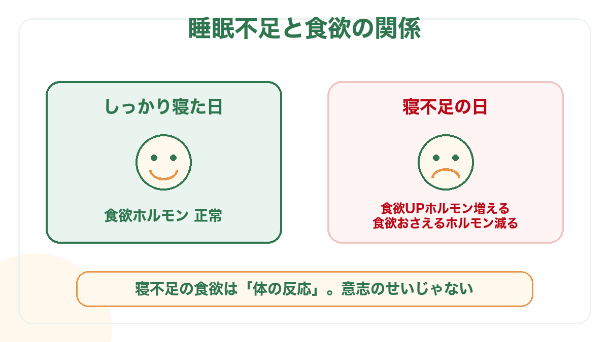 睡眠不足と食欲の関係の図解。寝不足の日は食欲を増やすホルモンが増え、おさえるホルモンが減る