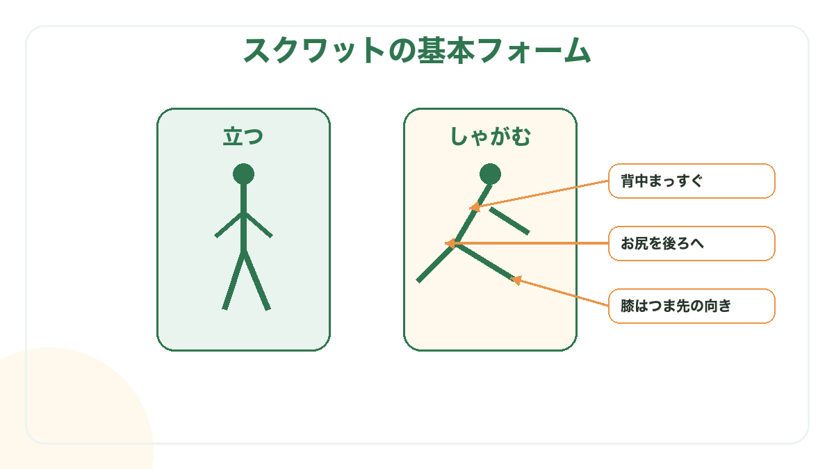 スクワットのフォーム図解。背中まっすぐ、お尻を後ろへ、膝はつま先の向き